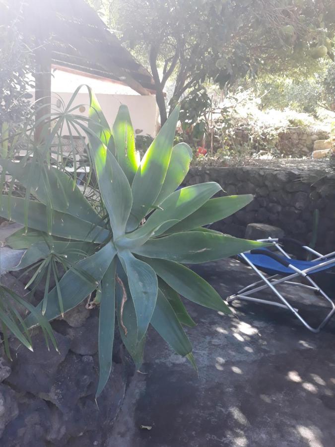 Stromboliparadise Piscita Εξωτερικό φωτογραφία