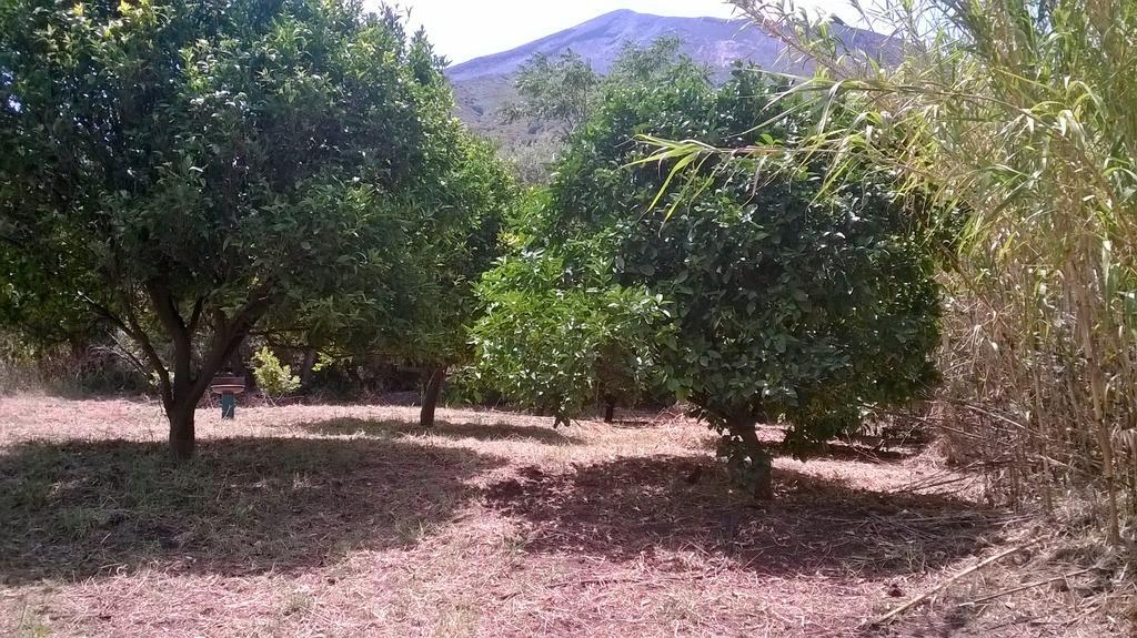 Stromboliparadise Piscita Εξωτερικό φωτογραφία